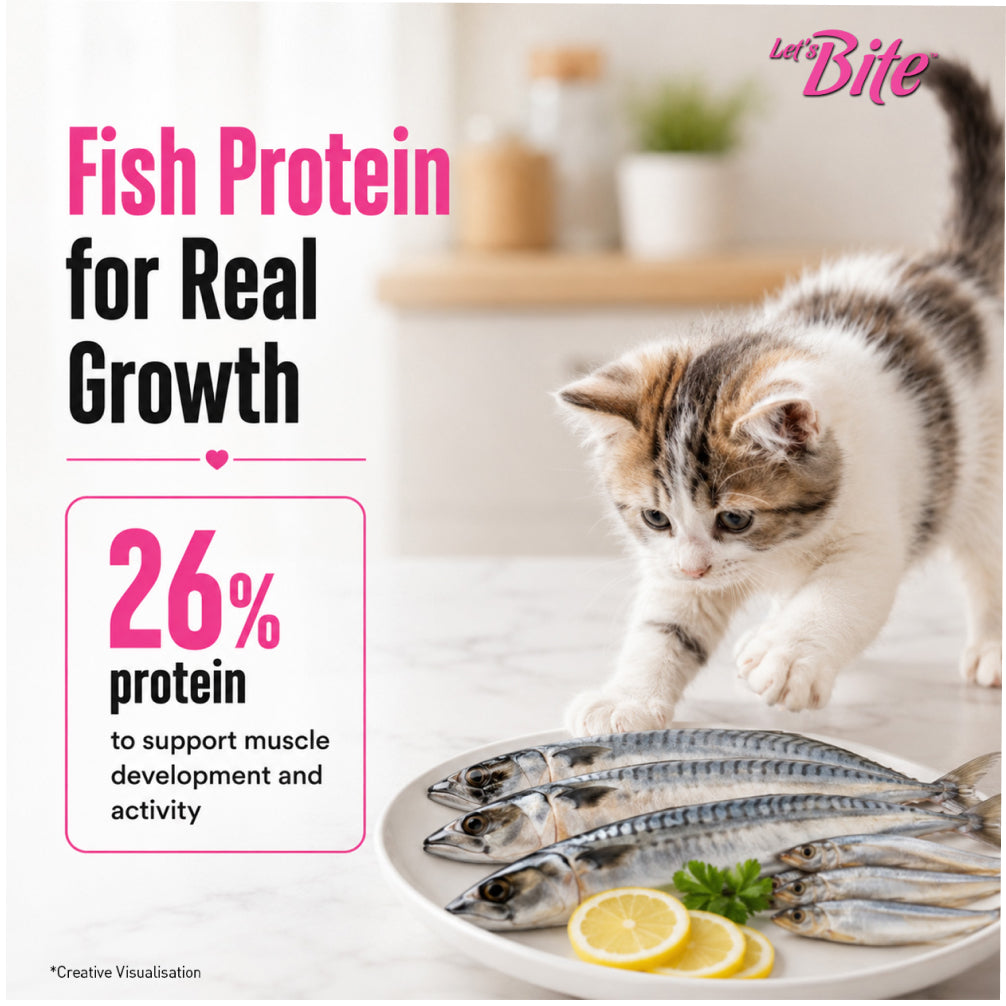 Let's Bite Active Kitten Ocean Fish Cat Dry Food (Buy 1 Get 1 Free) image 4