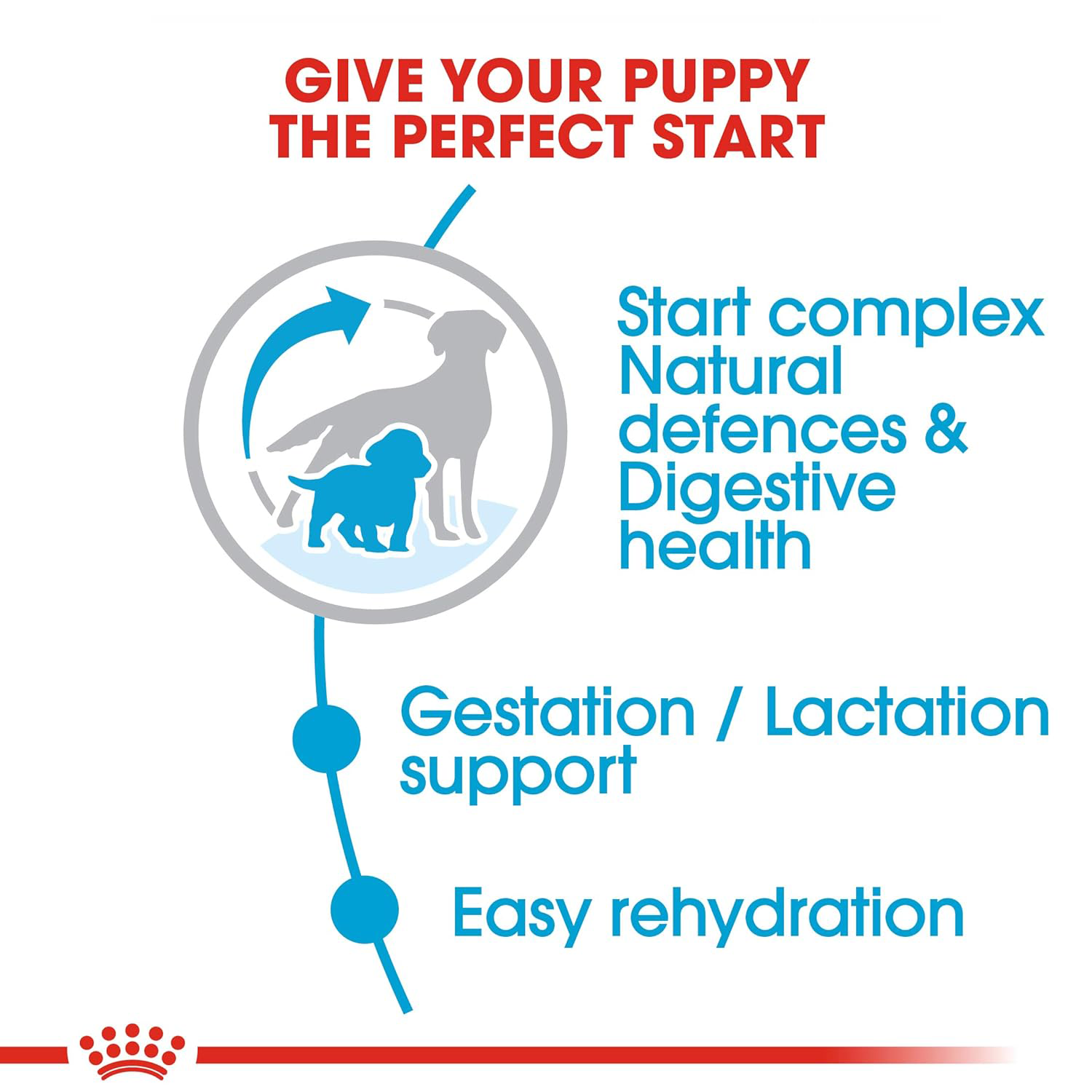 Royal Canin Medium Starter, Mother & Babydog Dry Food image 2