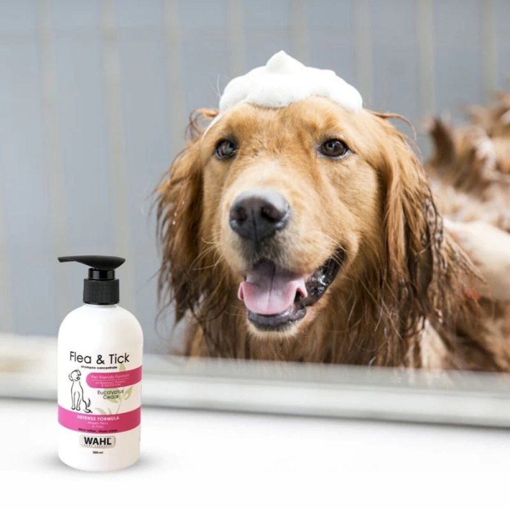 Wahl Flea and Tick Shampoo for Dogs image 4