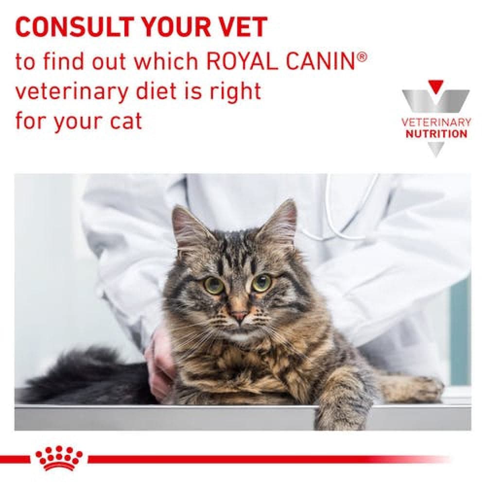 Royal Canin Veterinary Diet Renal Fish Adult Cat Wet Food image 6