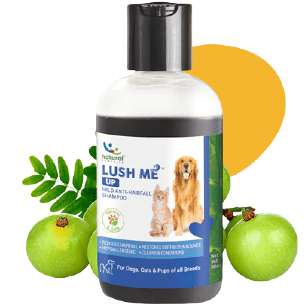 Natural Remedies Lush Me Up Anti Hairfall Shampoo for Dogs and Cats image 3