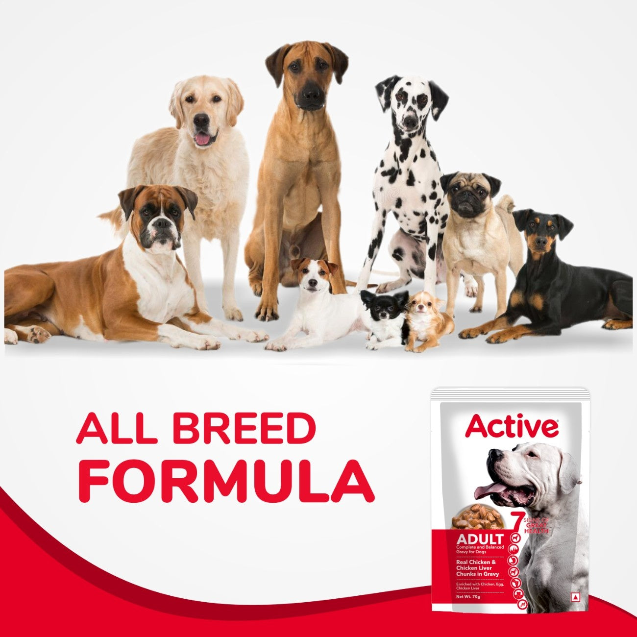 Active Real Chicken & Chicken Liver Chunks in Gravy Adult Dog Wet Food (Buy 1 Get 1) image 5