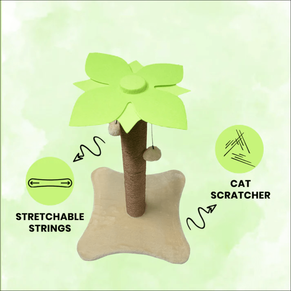 Basil Coconut Tree Toy for Kittens & Cats (Green/Brown) image 2