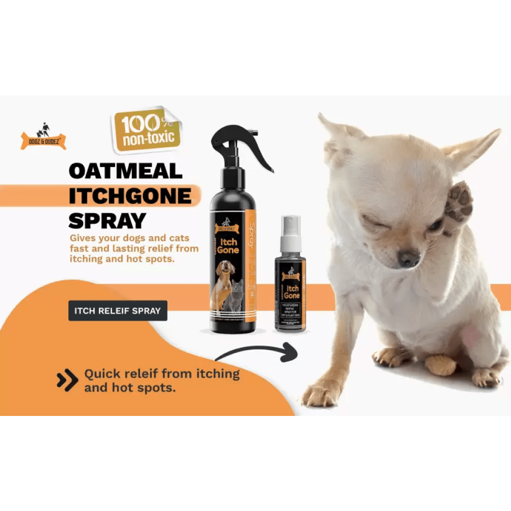 DOGZ & DUDEZ Oatmeal Itchgone for Dogs and Cats image 4