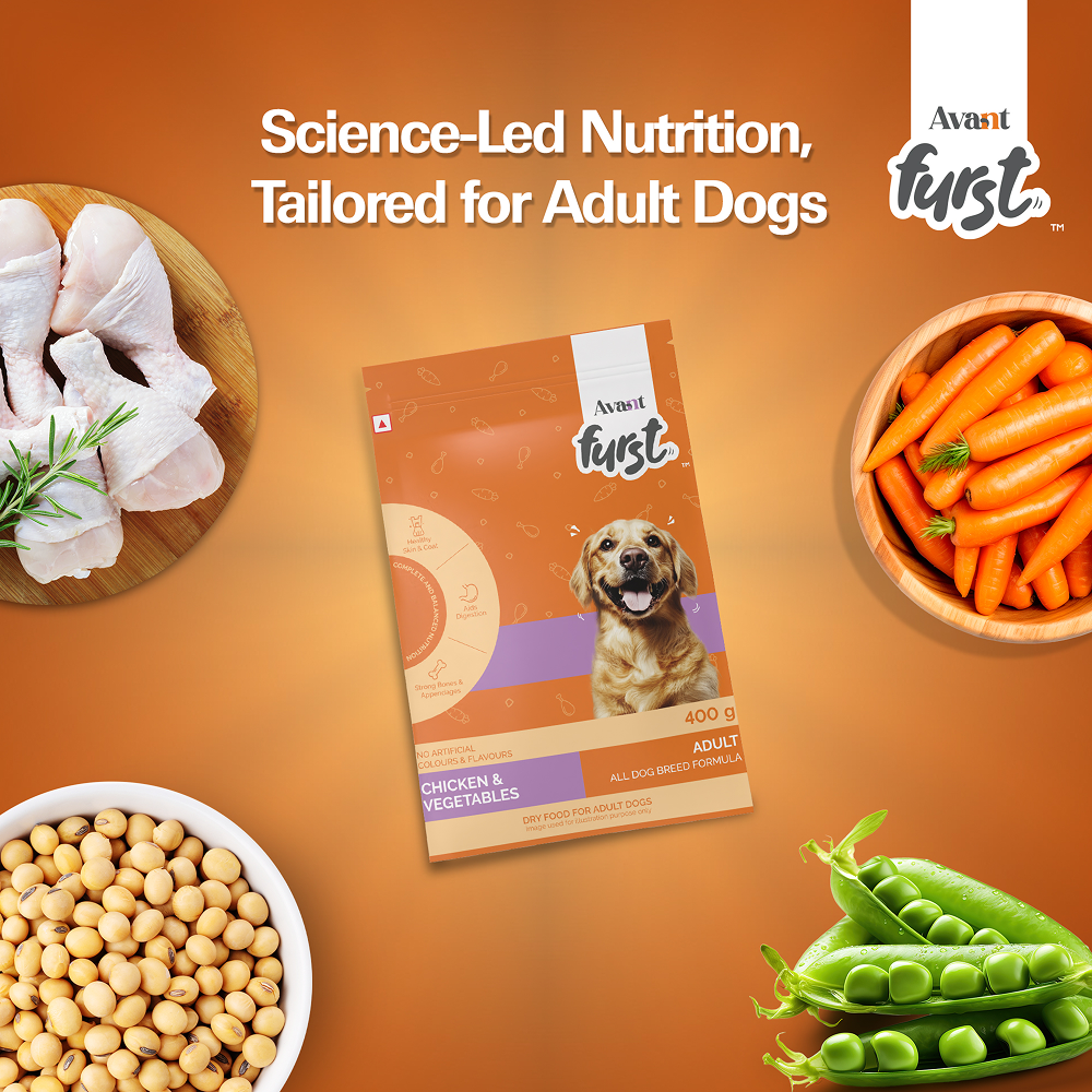 Avant Furst Chicken and Vegetable Adult Dog Dry Food image 5