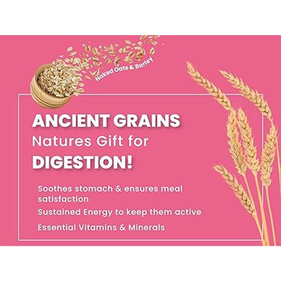 Bark Out Loud Chicken & Ancient Grains Adult Dog Dry Food image 5