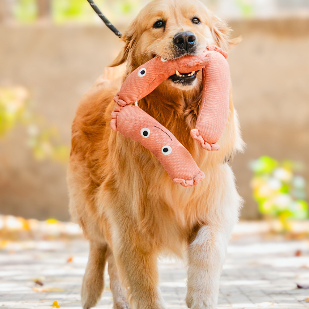 Pet Set Go Sausage Plush Toy for Dogs (Brown) image 1