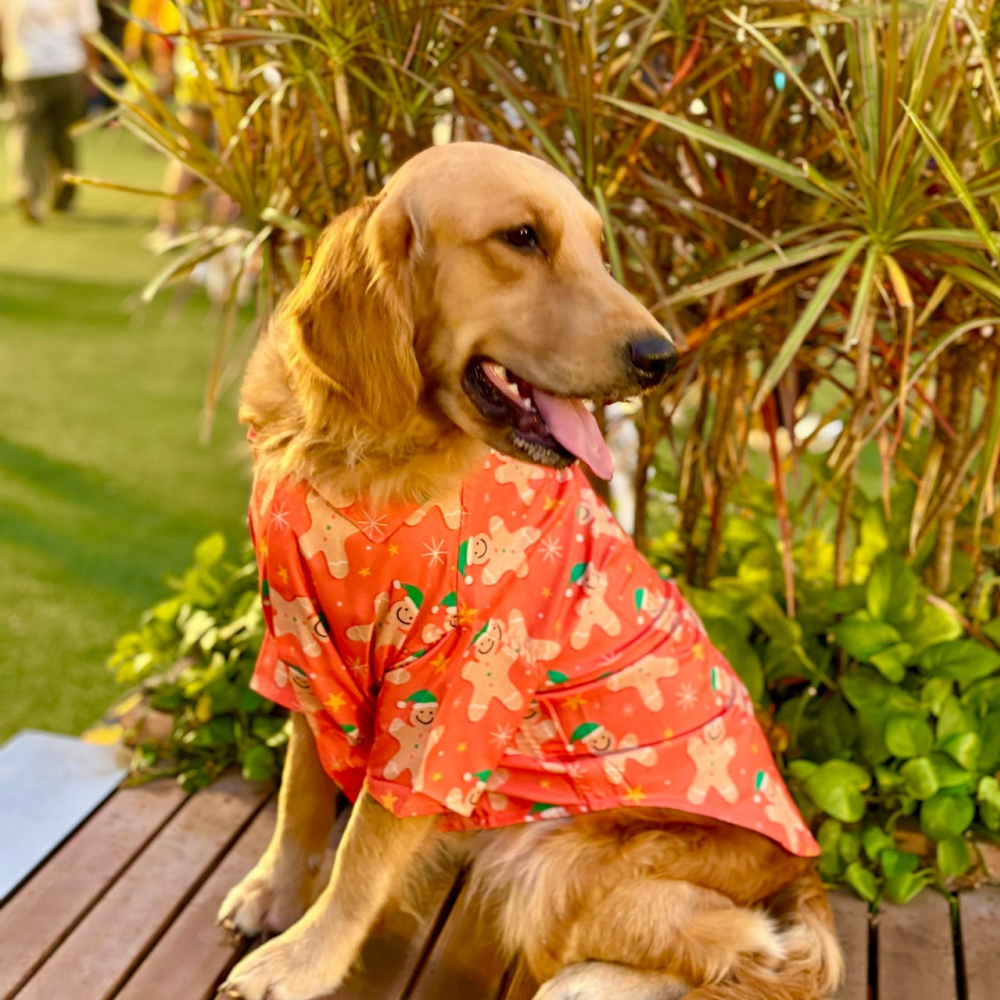 15 Furries Gingerbread Man Tshirt for Dogs image 3