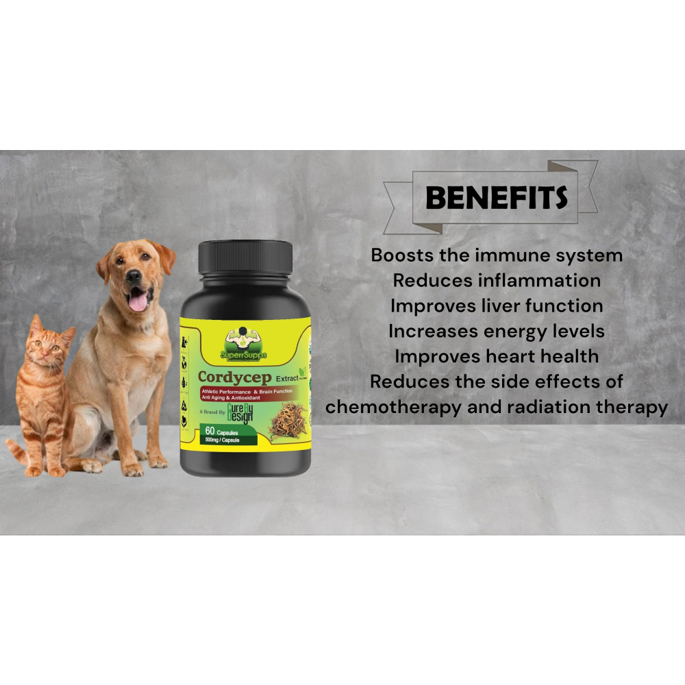 Cure By Design Cordycep Mushroom Capsules for Dogs and Cats image 2