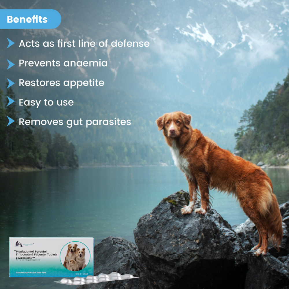 Wiggles Deworminator Deworming Tablets for Dogs and Cats image 5