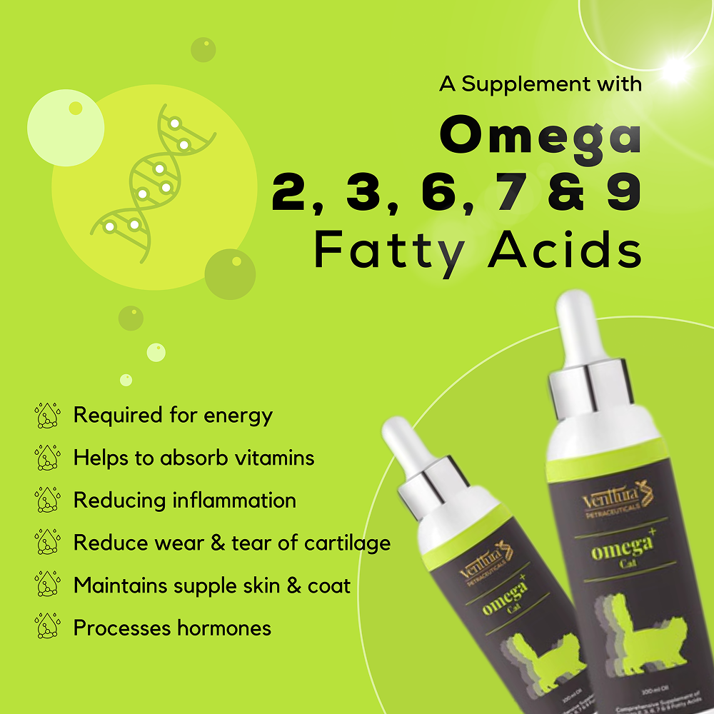 Venttura Healthy Skin & Glowing Coat Omega Fatty Acid Supplement for Cats image 4