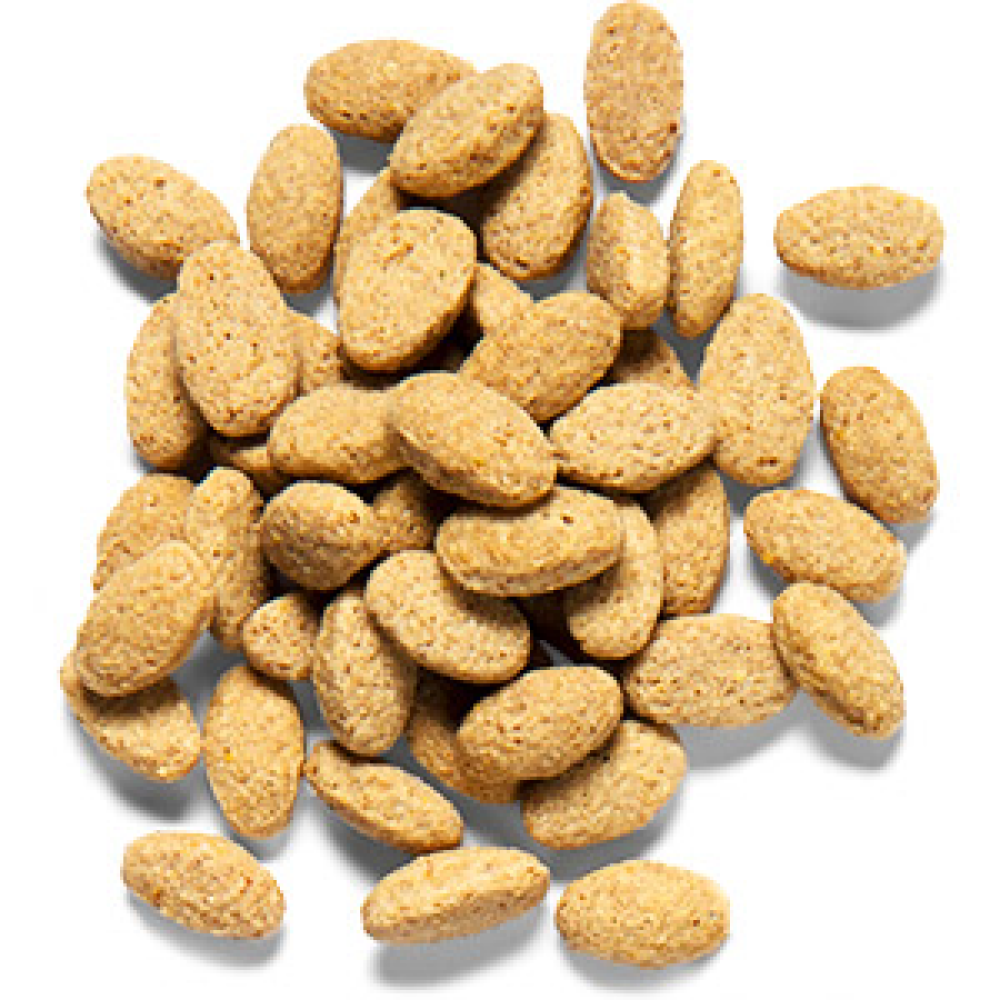 ZuPreem Natural Avian Pellet Diet Medium & Large Bird Food image 3