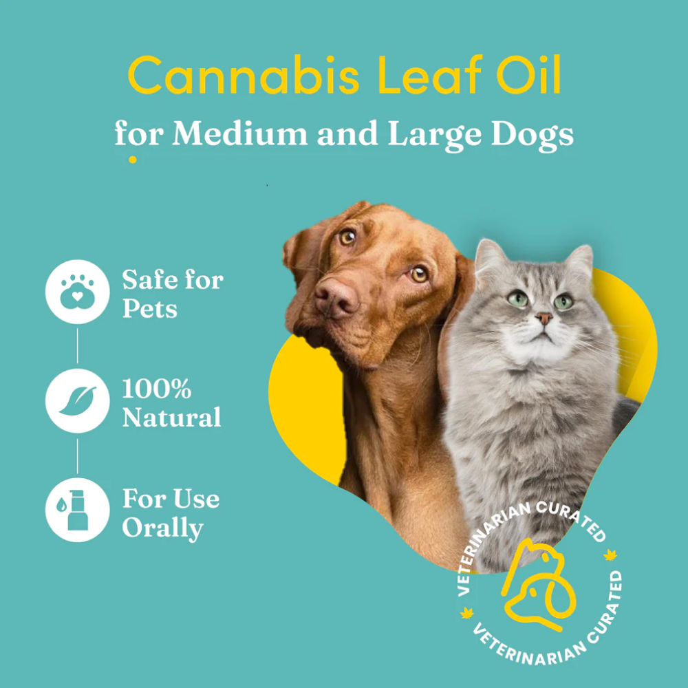 Vedic Tails Strong Cannabis Leaf Oil for Dogs and Cats image 4