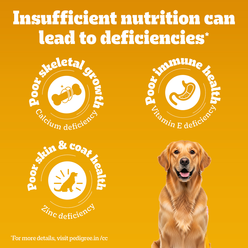 Pedigree Chicken and Vegetables Adult Dog Dry Food image 10