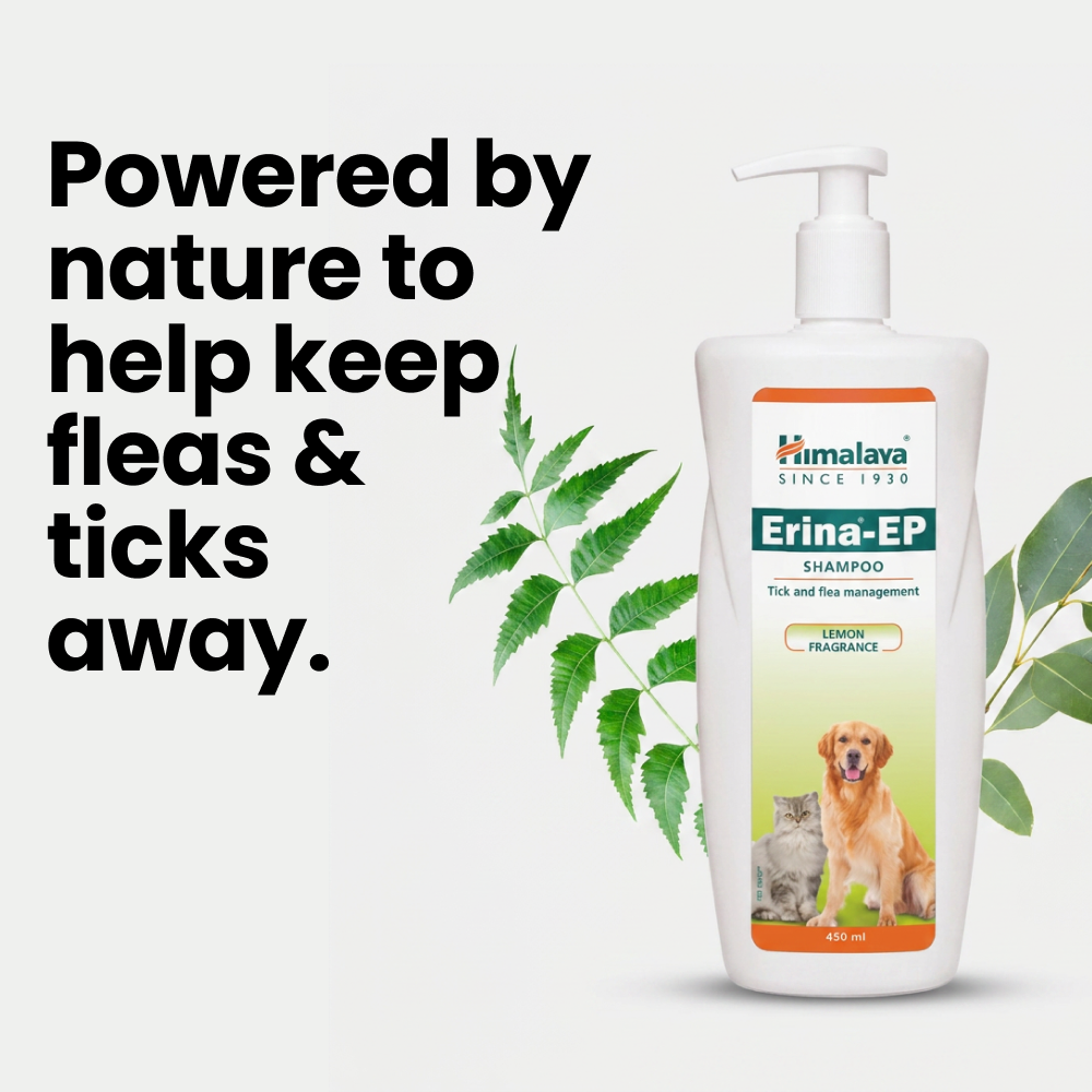 Himalaya Erina EP Tick and Flea Shampoo for Dogs and Cats image 3