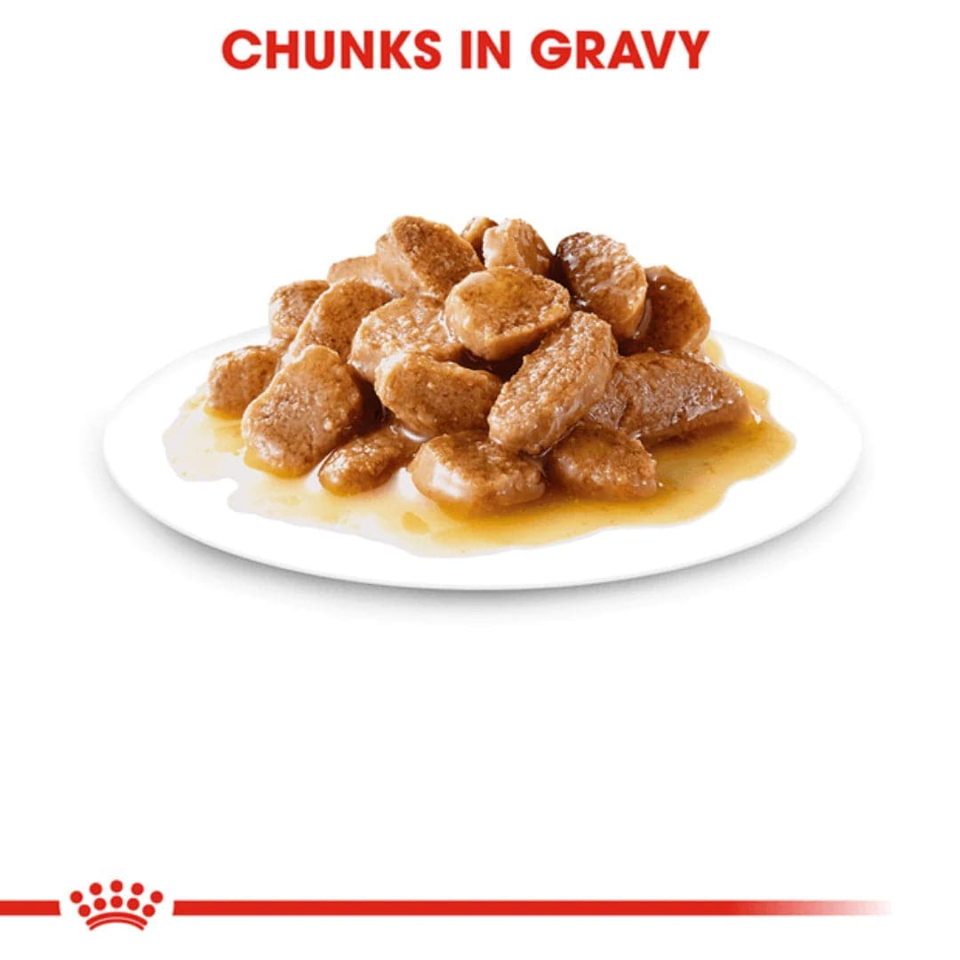 Royal Canin Maxi Adult Dog Wet Food image 3