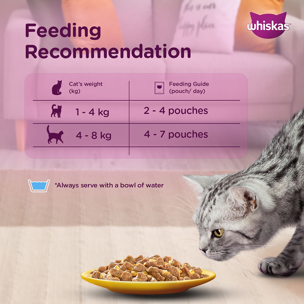 Whiskas Ocean Fish Adult Cat Wet Food image 8