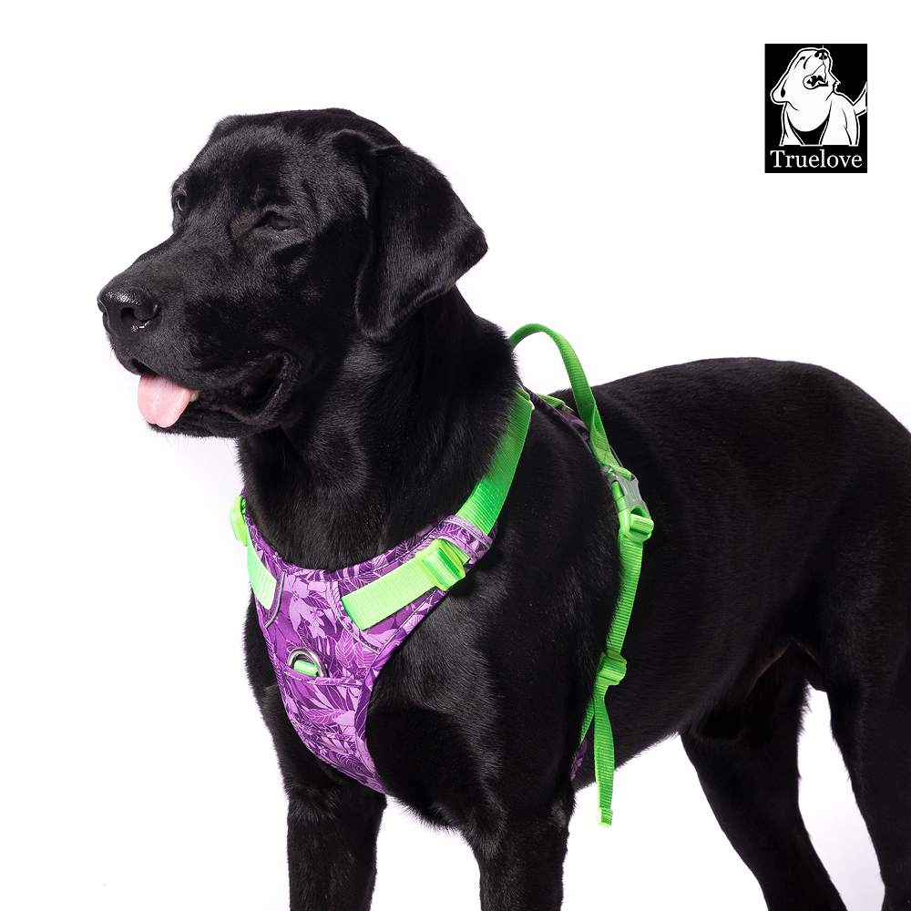 Truelove No Pull Special Edition Harness for Dogs (Camouflage Purple) image 1