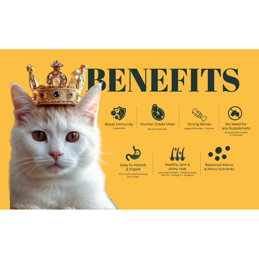 IndieCat Royal Trial Pack Adult Cat Wet Food image 2