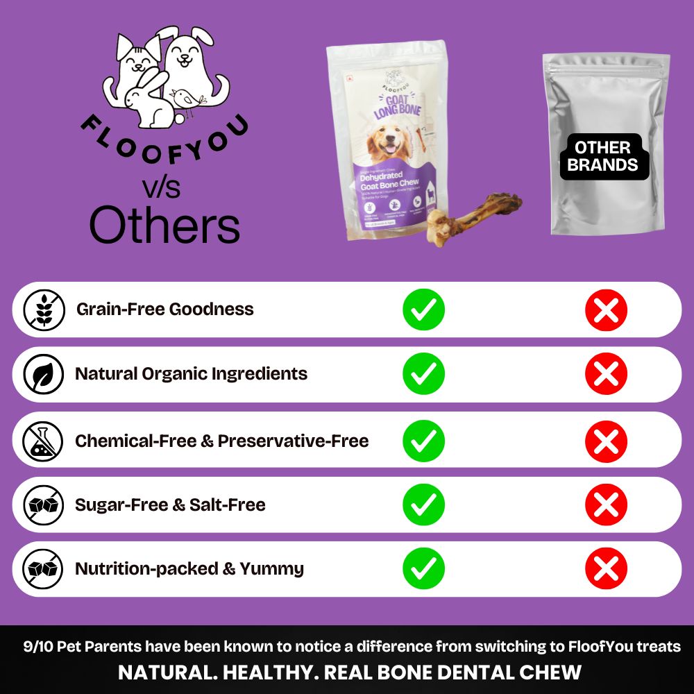 FloofYou Air Dried Goat Marrow Bone Chew Dog Treats image 5