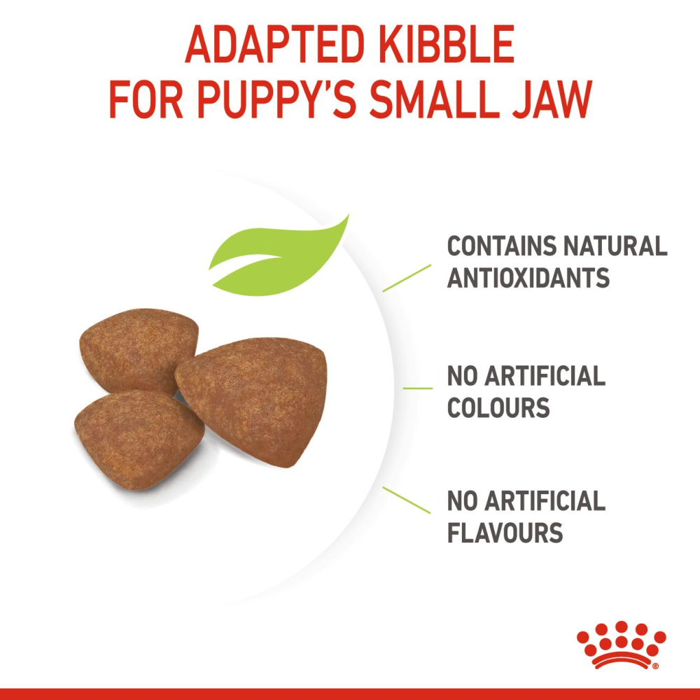 Royal Canin Mini Puppy Dog Dry Food image 3
