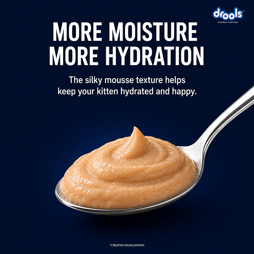 Drools Ocean Fish Mousse Kitten Cat Wet Food image 6