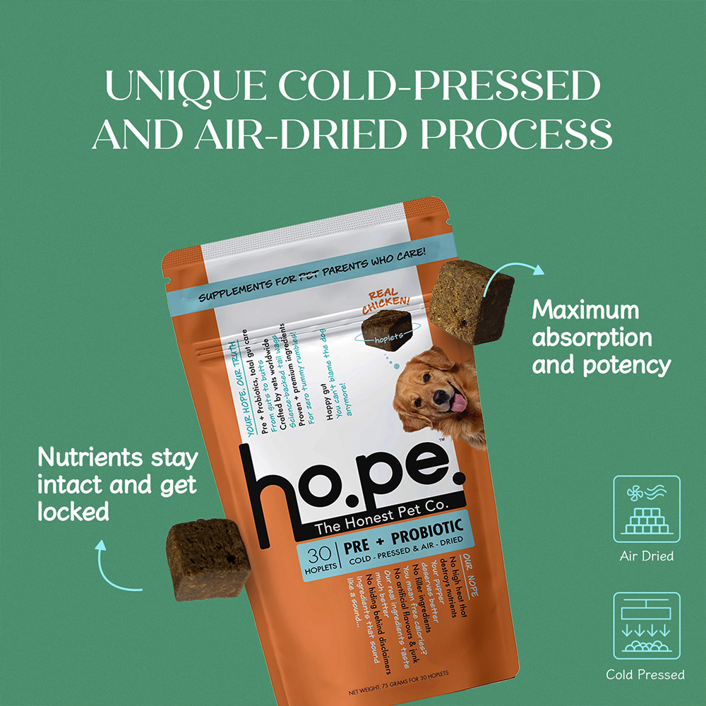 Hope Chicken Flavoured Pre+ Probiotics Supplement for Dogs image 5