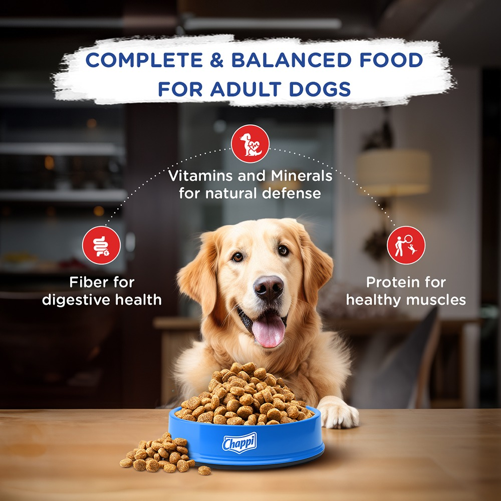 Chappi Chicken & Rice Adult Dry Dog Food image 3