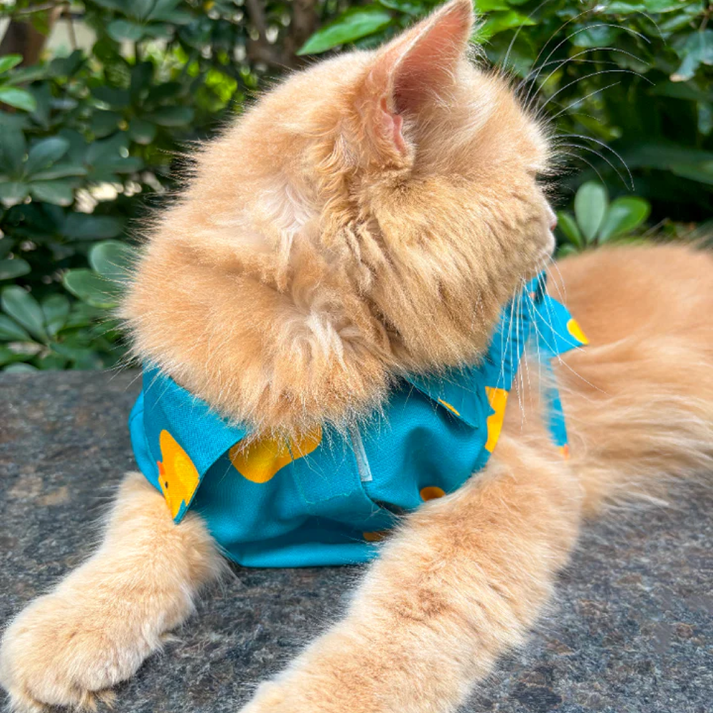 15 Furries Little Duckling Shirt for Cats (Green and yellow) image 2