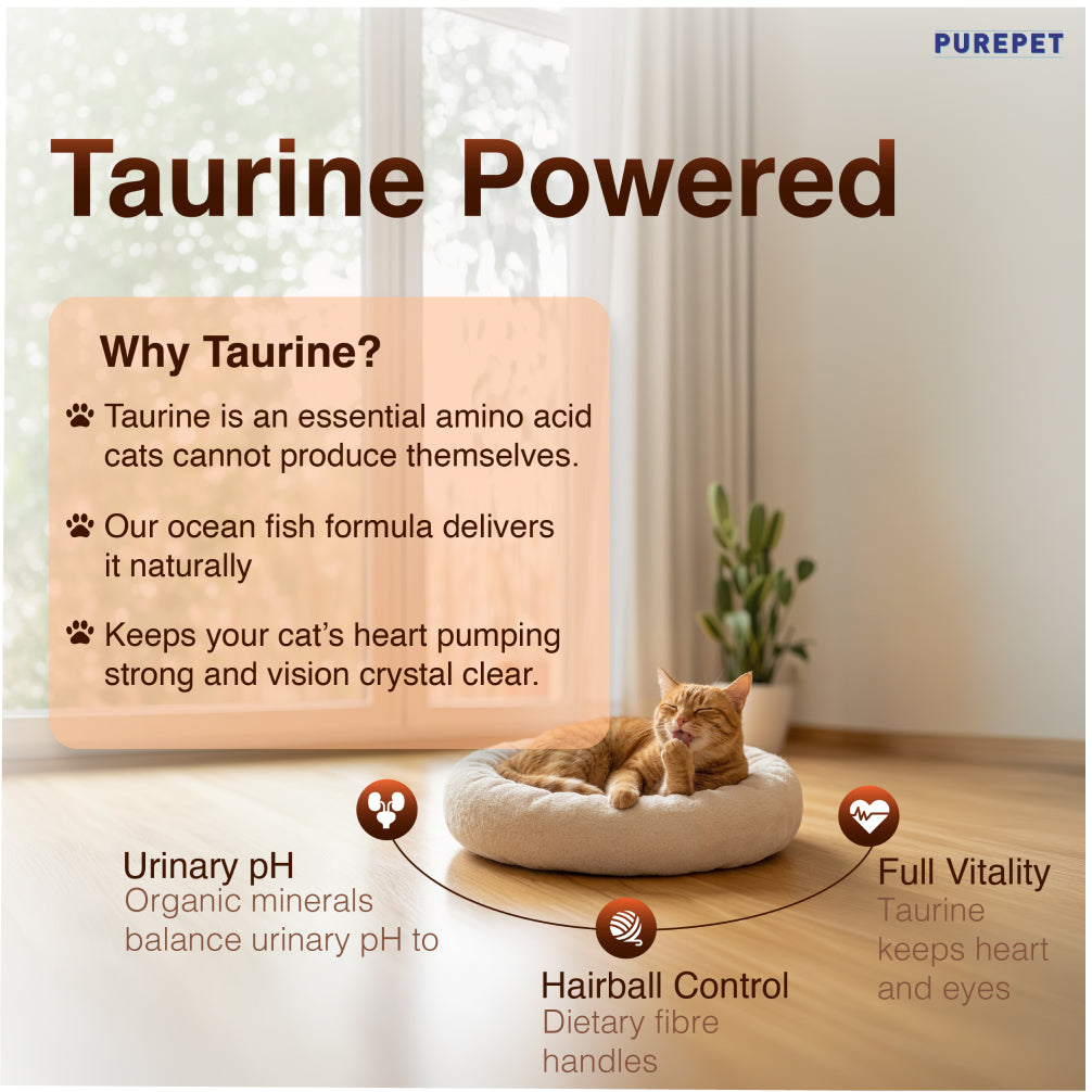 Purepet Mackerel Adult Cat Dry Food image 8