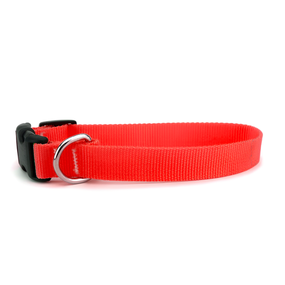 Skatrs Adjustable Collar with Bell for Cats & Kittens (Buy 1 Get 1) image 2