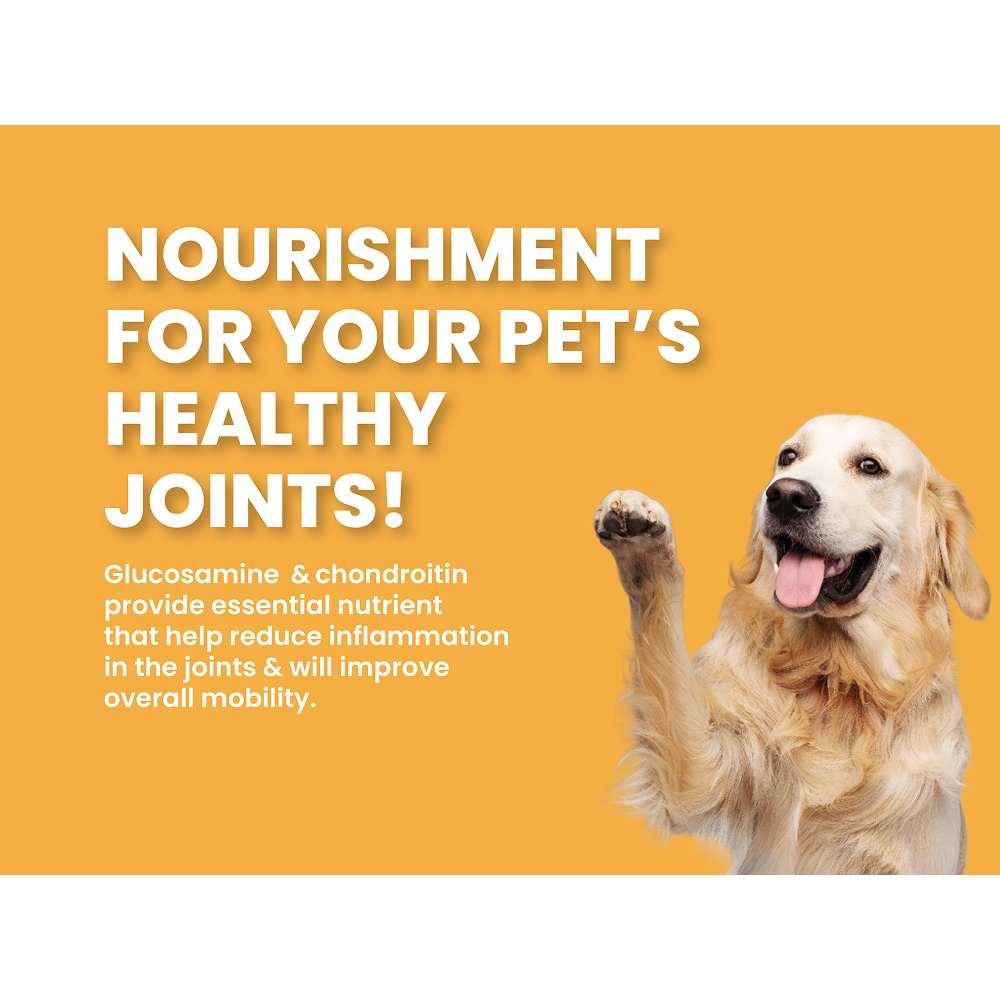 Bark Out Loud Salmon & Turkey Adult Dog Dry Food image 7
