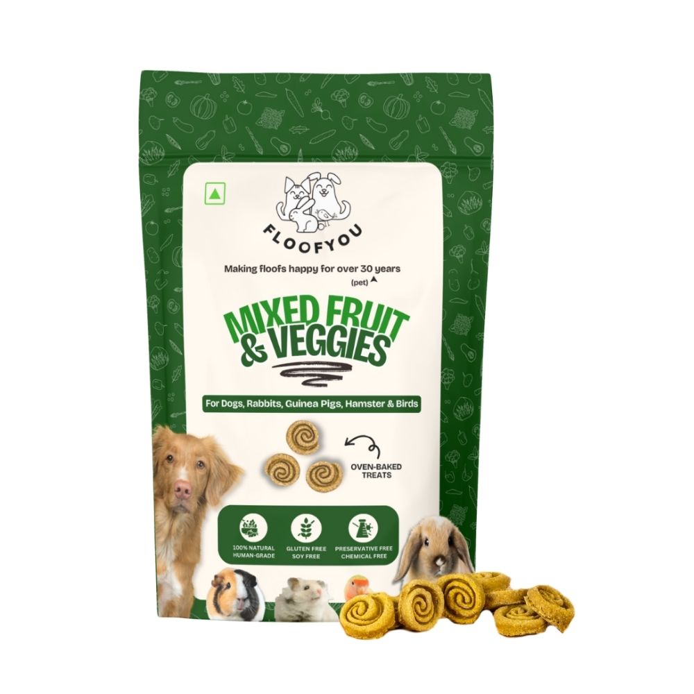FloofYou Oven Baked Mixed Fruit and Veggies Dog Treats image 1