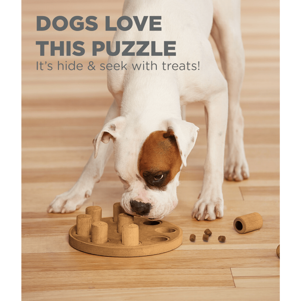Outward Hound Nina Ottosson Dog Smart Composite Game for Dogs (Level 1 Beginner) image 8