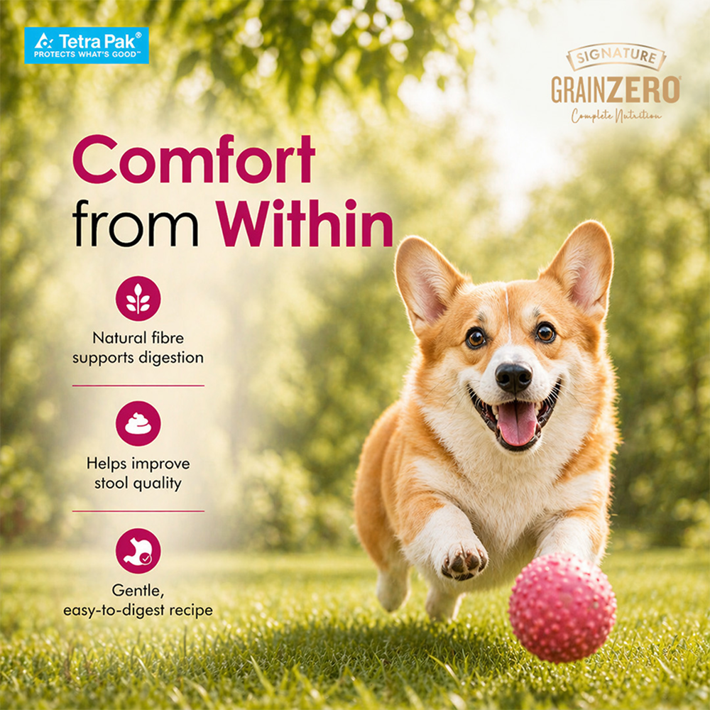 Signature Grain Zero Tetra Pack Real Chicken Turkey Dog Fresh Food image 7