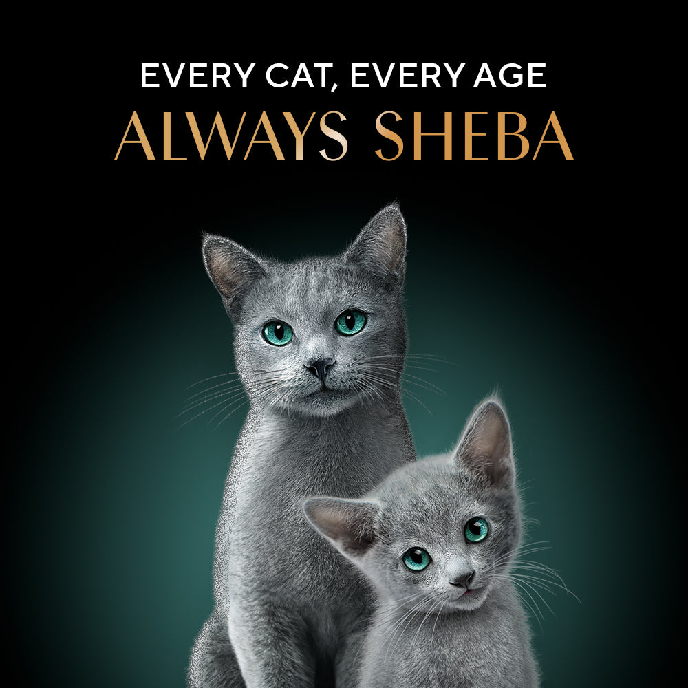 Sheba Dulex Complete Nutrition Tuna Flakes & Salmon In Gravy Cat Wet Food image 7