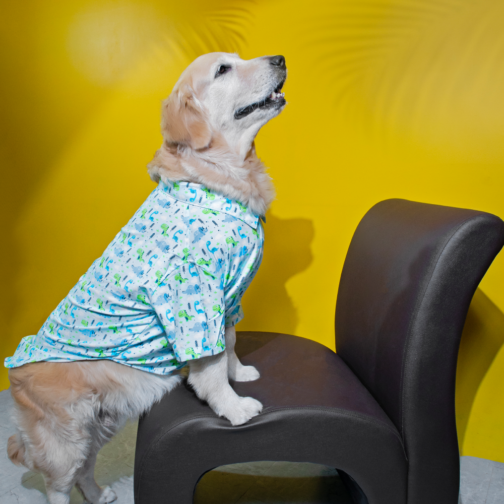 15buttons Jungle Gym Shirt for Dogs image 3