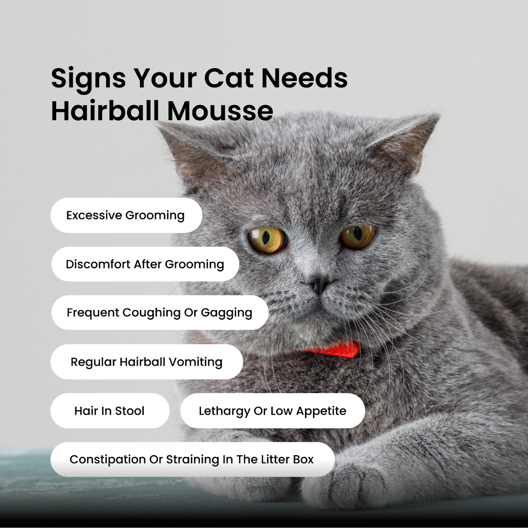 Absolut Pet Hair Ball Relief Creamy Supplements for Cat image 3