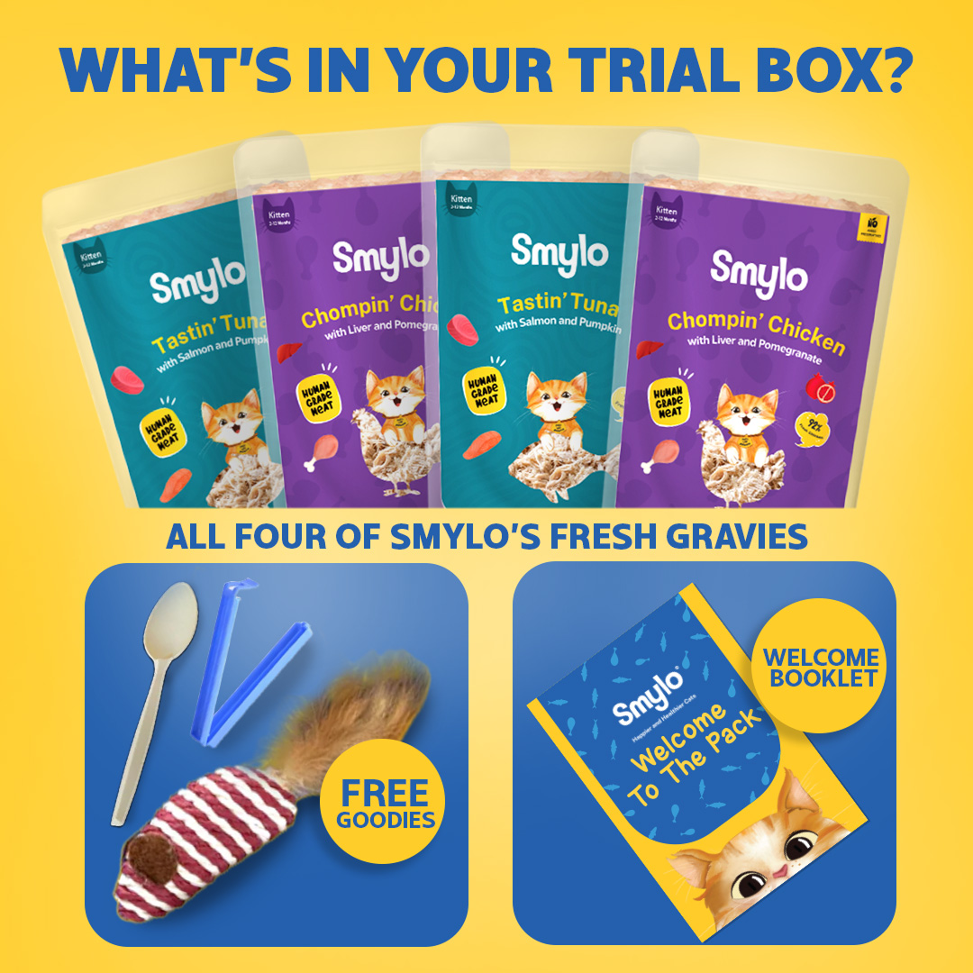 Smylo Kitten Trial Box, Tuna & Chicken, Fresh & No-Preservative Wet Cat Food image 9