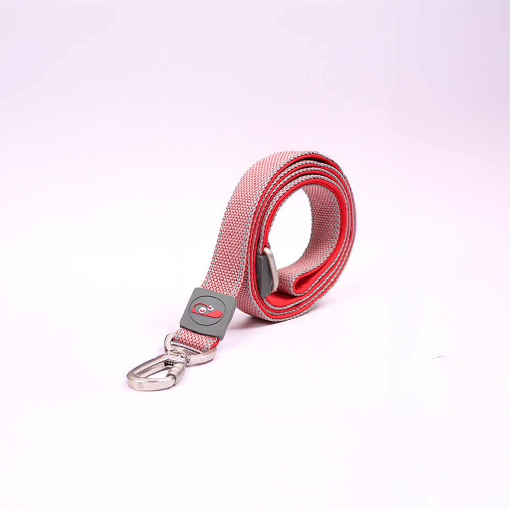 Skatrs Leash for Dogs (Red) image 1