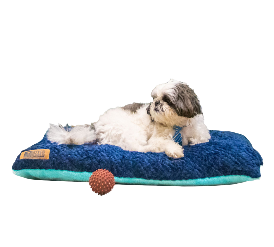 Petter World Luxury Reversible Chopped Foamed Pillow Bed with Soft Fur for Dogs (Turquoise) image 1