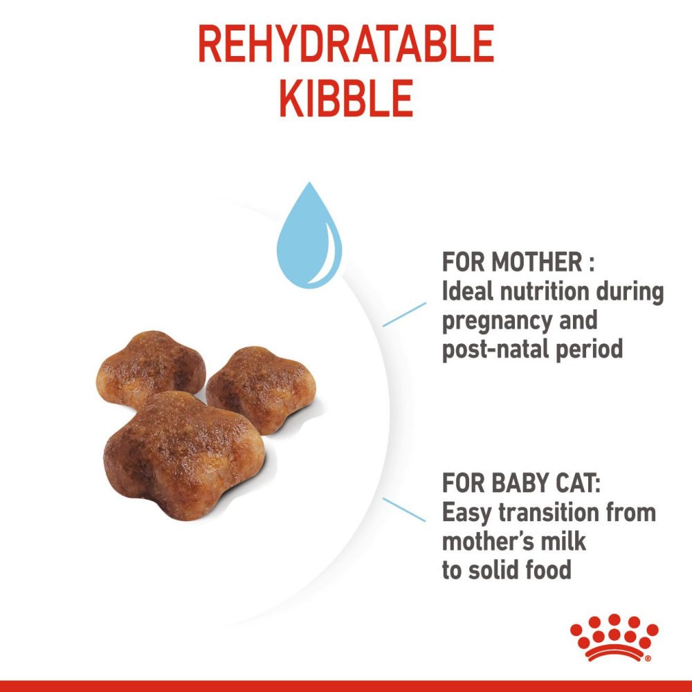 Royal Canin Mother & Babycat Cat Dry Food image 6