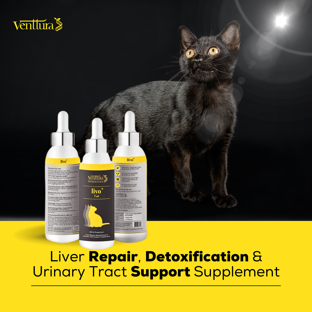 Venttura Liver Repair, Support Recovery & Recuperation Supplement for Cats image 6