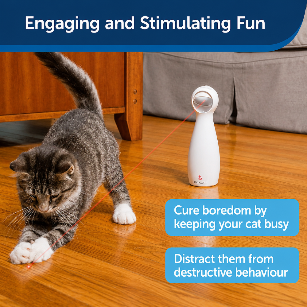 PetSafe FroliCat Bolt Automatic Laser Toy for Cats image 5