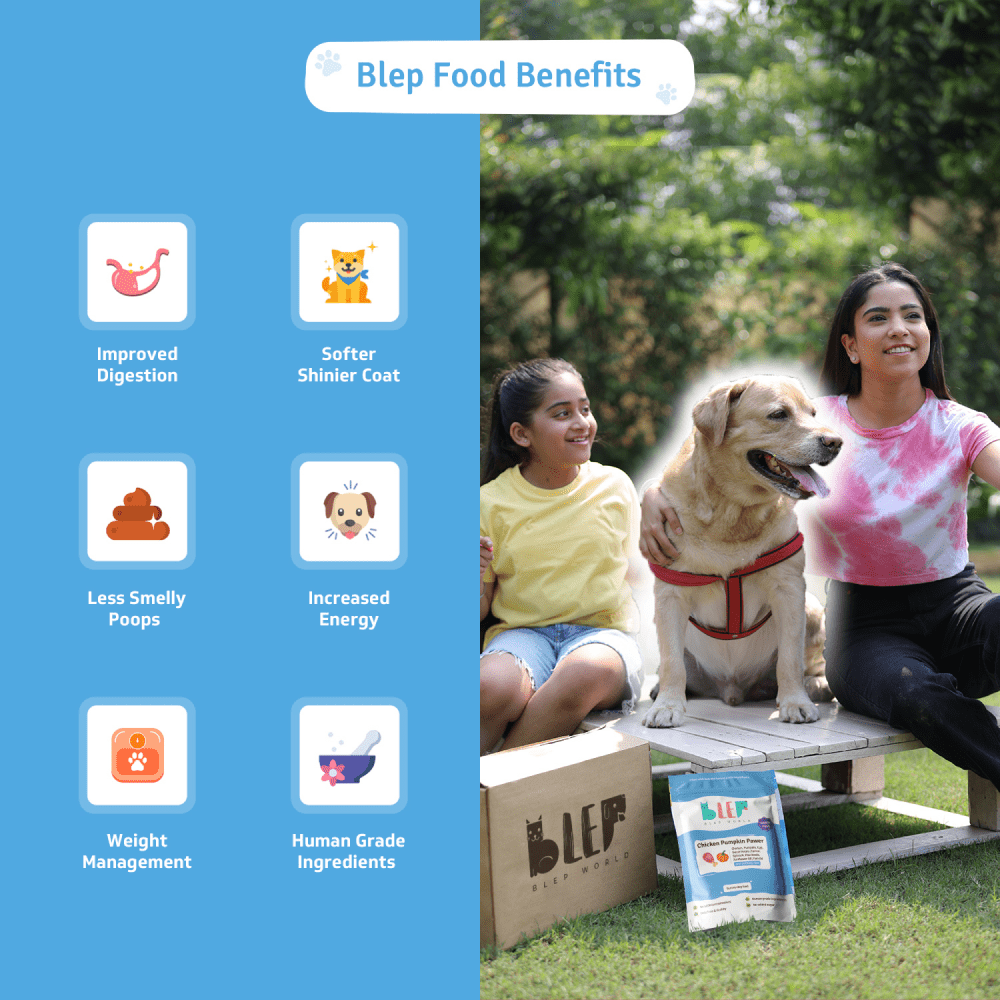 BLEP Chicken & Pumpkin Pawer Dog Wet Food (300g) image 3