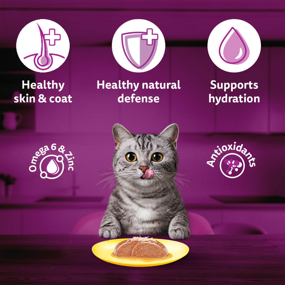 Whiskas Tuna and Chicken Meat in Jelly Flavour Adult (1+ years) Cat Wet Food image 7