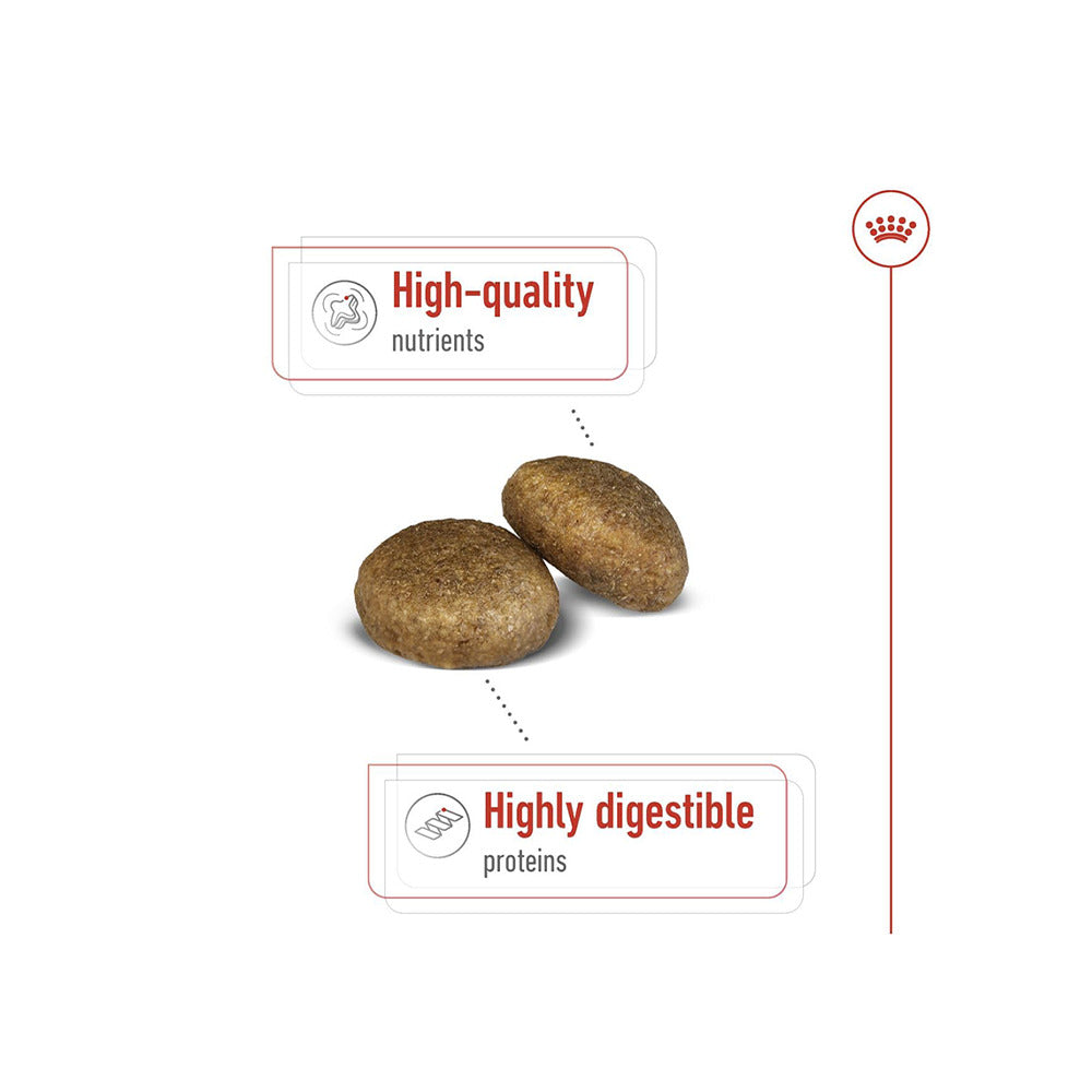 Royal Canin Maxi Adult Dog Dry Food image 3