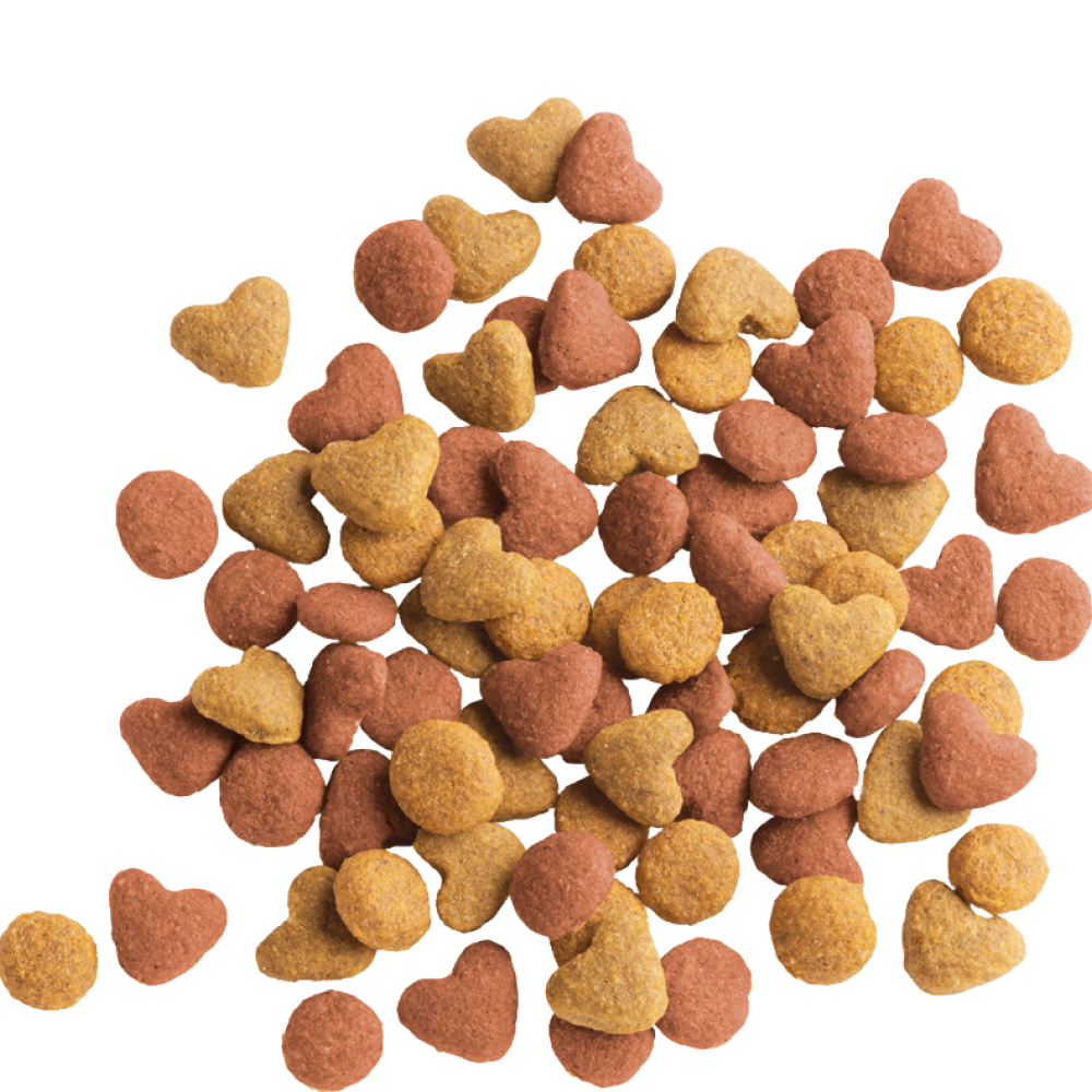 Versele Laga Lara Chicken Kitten Dry Food (Limited Shelf Life) image 2