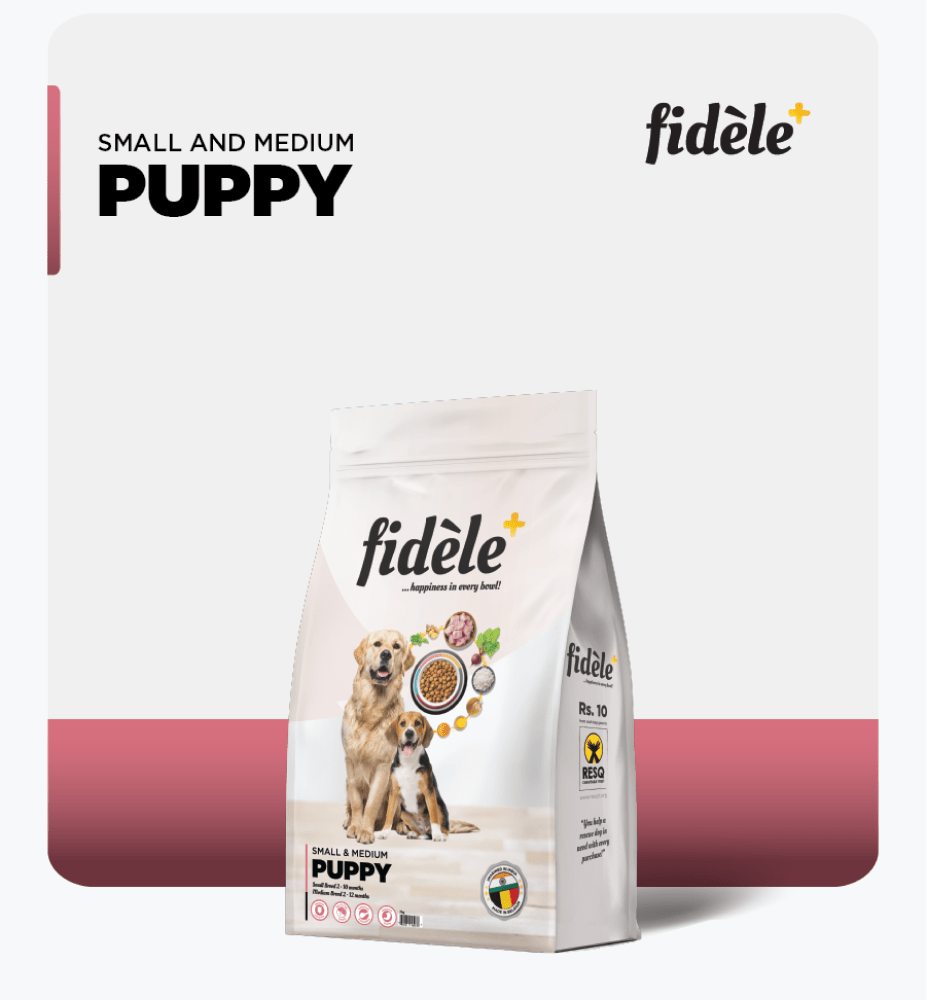 Fidele Plus Small and Medium Puppy Dry Food image 8