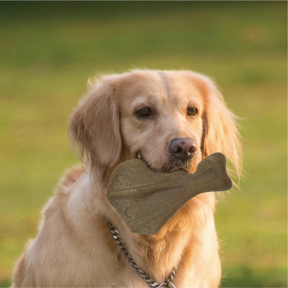 Talking Dog Club Flap Chew Nylon Bone Heavy Chew Toy for Dogs (Brown) image 3